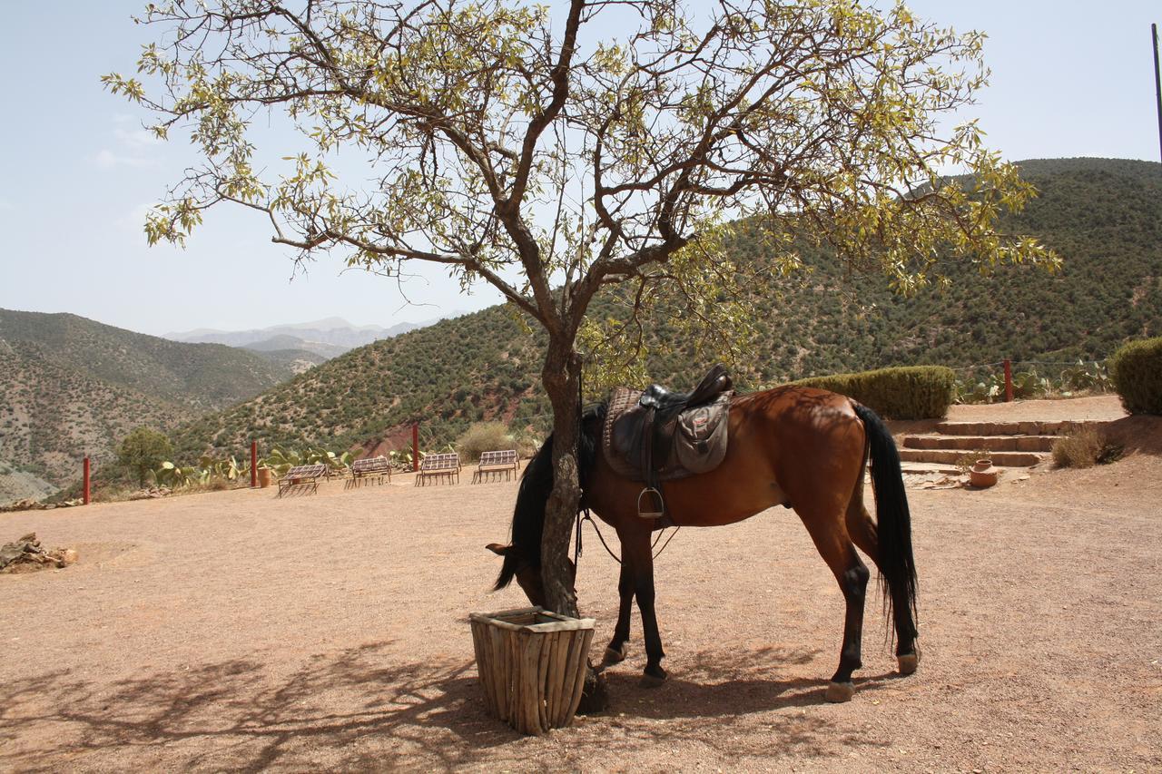 Terres D'Amanar Ξενοδοχείο Tahanaout Εξωτερικό φωτογραφία